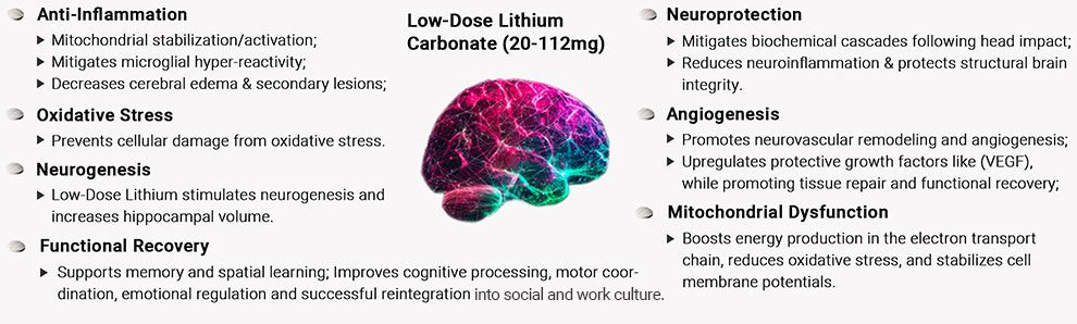 image presenting the features of the hill model concussion treatment framework