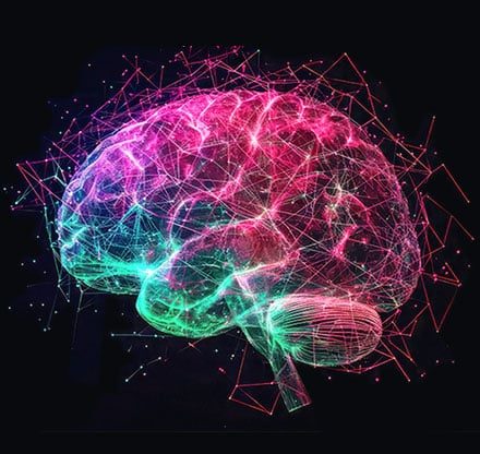 HILL Model Concussion Treatment Protocol for Neuroinflammation