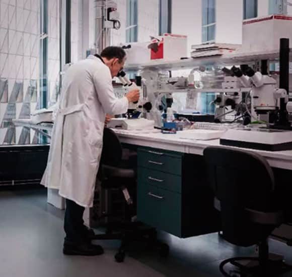 image promoting ROI for Lithium Inflammation Psychiatry Research Studies